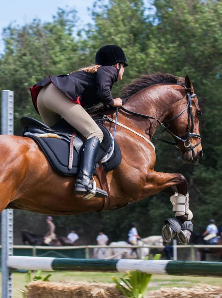 Person Riding Horse with Impact Detect Integrated into Equestrian Helmet